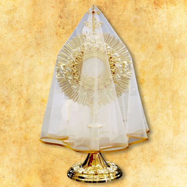 Monstrance veil with gold trim