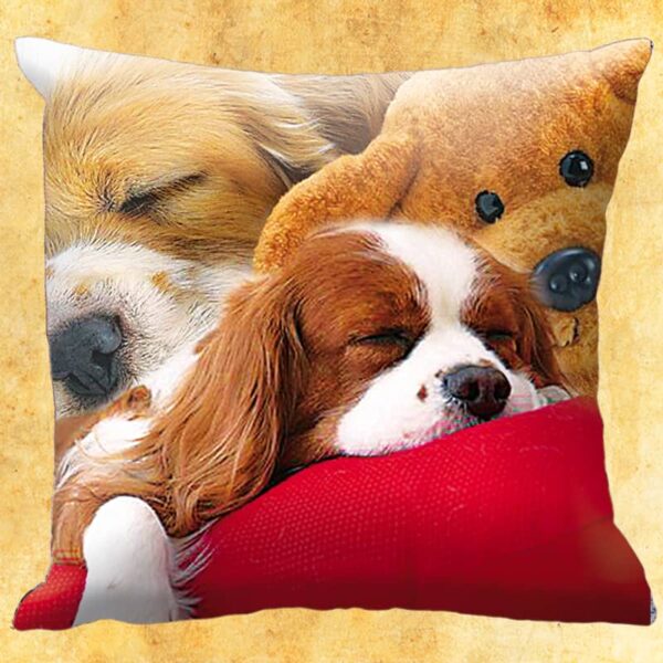 A cuddly pillow